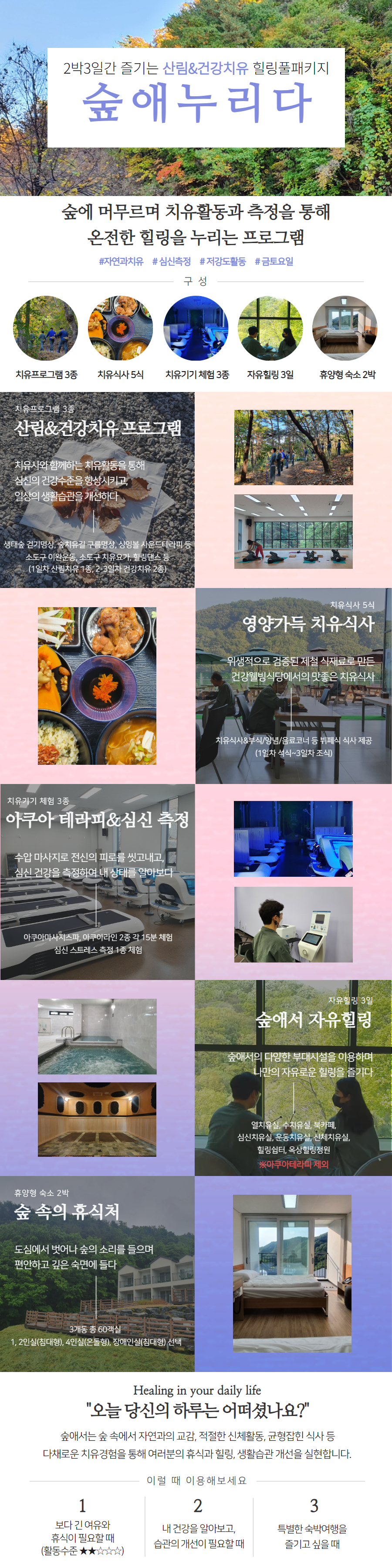 숲애누리다 (1).jpg프로그램