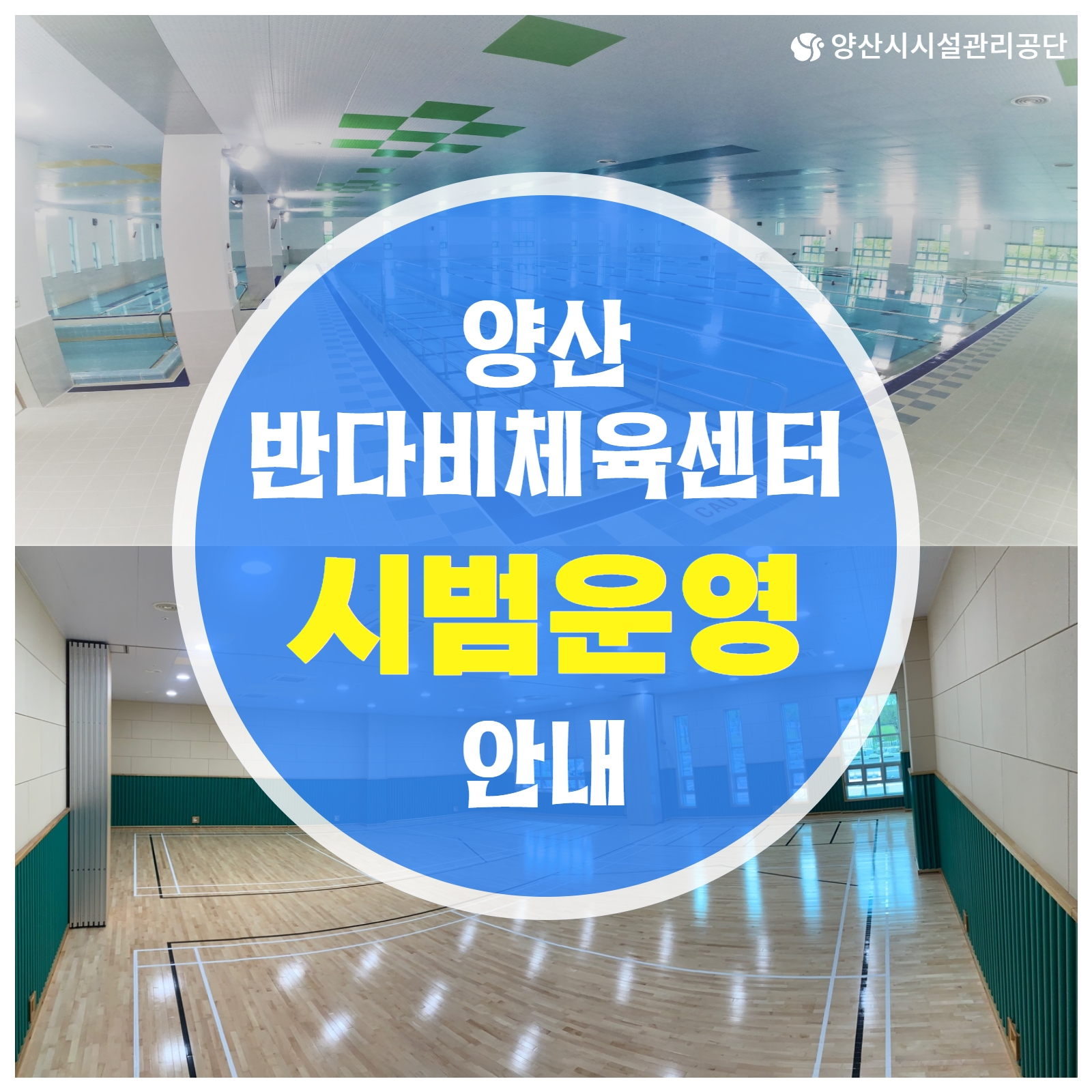 업로드이미지